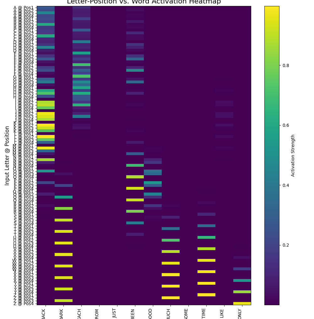 Letter-Position vs. Word Activation Heatmap
